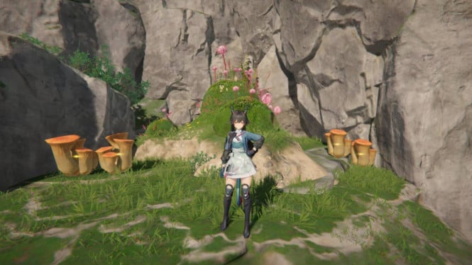 Panduan Lengkap Red Bolete Arknights Endfield: Cara Akses & Promo