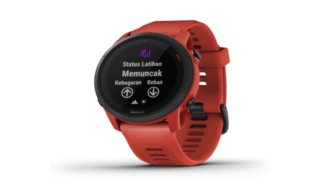 Garmin forerunner