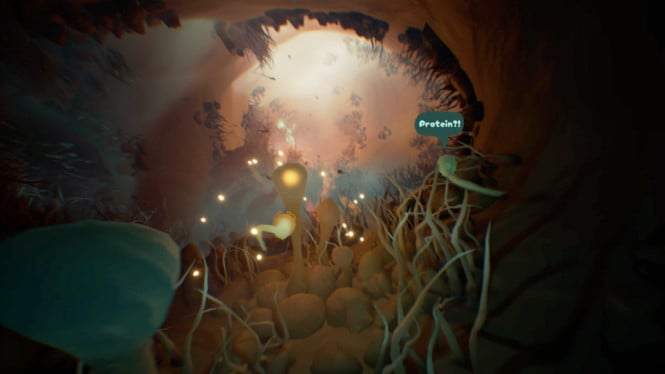 Mengenal Game Become, Simulasi Unik Jadi Sperma di Tubuh Manusia