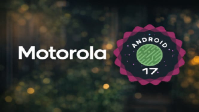 Cara Update Android 17 Beta Motorola dan Daftar HP Terbaru