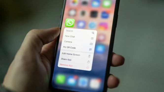 WhatsApp Plus Segera Hadir, Kenali Layanan Berbayar Terbaru
