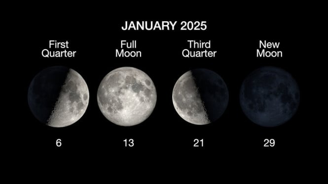 Pink Moon 2026: Jadwal Puncak dan Lokasi Terbaik Mengamati