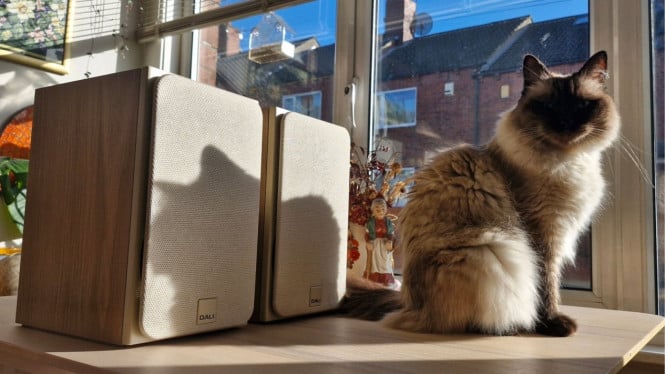 Review Dali Sonik 1: Speaker Bookshelf Performa Tinggi 2026