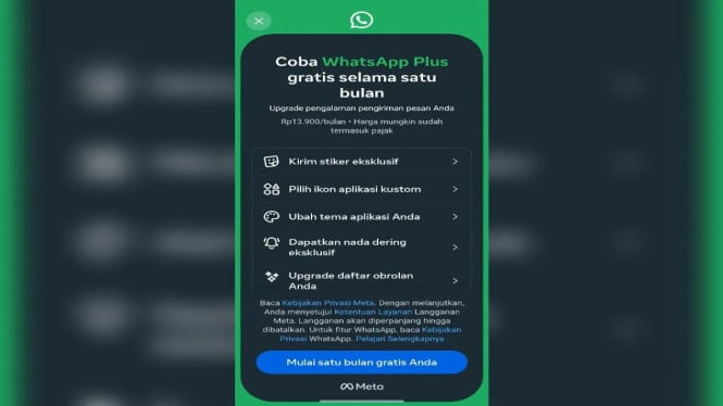 Bayar Rp13 Ribu Sebulan Demi W‌hatsApp Beda Tampilan, Seberapa Penting Buat Kamu