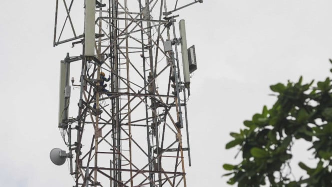 Siasat Surge dan Mora Kuasai Pasar Internet FWA 5G
