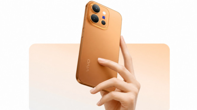 Vivo X300e