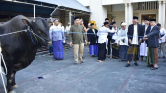 Idul Adha 2023, Pj Gubernur Gorontalo Serahkan Sapi Kurban Bantuan Jokowi ke Masjid Baiturrahim