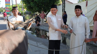 Idul Adha 1444 H, Polresta Gorontalo Kota Sembelih 6 Ekor Sapi