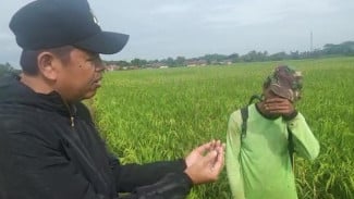 Kang Dedi Fokus Bangun Pertanian Organik dengan Memanfaatkan Air Kencing