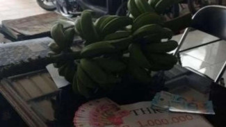 Kantor BNN Tasikmalaya Dikirimi THR Setandan Pisang dan Uang Mainan