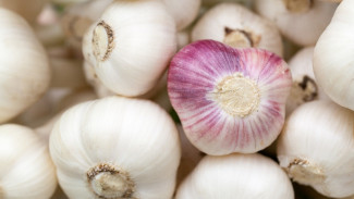 Bawang Putih Australia Ampuh Bunuh Covid-19 dan Flu, Hasil Studi