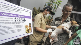24 Ribu Ekor Hewan di Jabar Sudah Divaksinasi Rabies