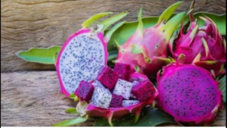 Menilik Kandungan Manfaat Dari Buah Naga