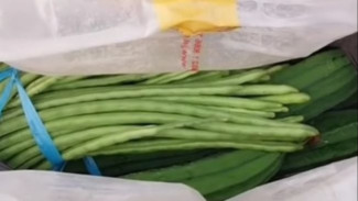 Viral! Kurir Dibayar Pakai Kacang Panjang: Ya Sudahlah, Lumayan Buat Disayur