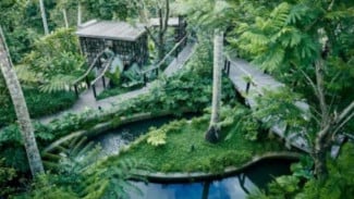Ingin Berkunjung ke Pulau Dewata? Hoshinoya Bali Jadi Pilihan Tempat Penginapan Sempurna