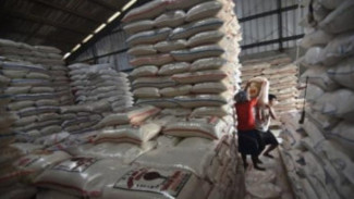 Iklim El Nino Hantui Kondisi Pangan Indonesia, Bulog Ngapain?