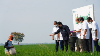 Melalui Program Makmur, Pupuk Kujang Dorong Petani Kurangi Emisi Karbon