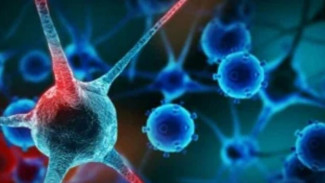 Studi 2019: Sekitar 562.145 Orang Dewasa Muda AS Terdiagnosis Positif Kanker