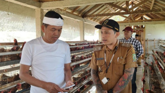 Hasilkan Ketahanan Pangan, Kades Hoho Dikunjungi KDM: Kepemimpinannya Keren!