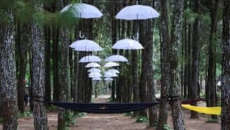 Tips: Pengembangan Hutan sebagai Destinasi Ekowisata Berkelanjutan