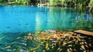 5 Tempat Wisata Alam di Jawa Barat yang Bikin Liburanmu Jadi Lebih Seru!