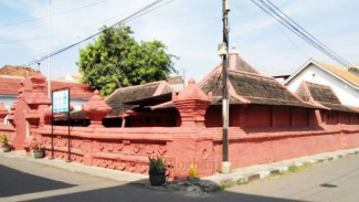 Photo Mini 2