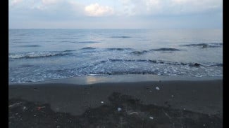Photo Mini 2