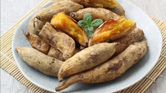 Ubi Cilembu: Si Manis dari Sumedang yang Kaya Manfaat