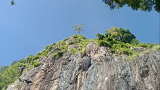 Photo Mini 2