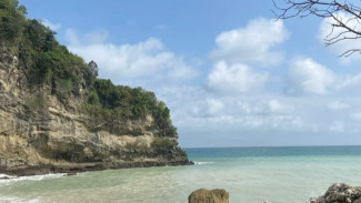Photo Mini 2