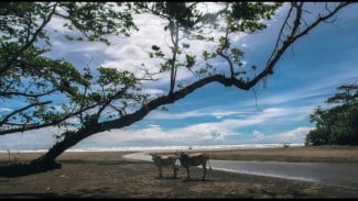 Photo Mini 2