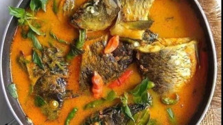 Makanan yang Paling Berpengaruh untuk Otak Anak, Ikuti Resep Ini Agar Si Kecil Miliki Otak Cerdas