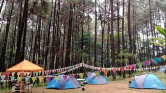 Rekomendasi 5 Destinasi Wisata Trekking untuk Pemula di Jawa Barat
