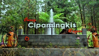 Curug Cipamingkis Keindahan Alam Bogor yang Akan Memikat Hati Para Wisatawan