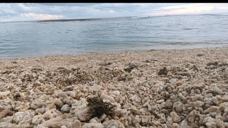 Kunjungi Pantai Cibuaya Ujung Genteng yang Menawarkan Keindahan Sunset di Sore Hari