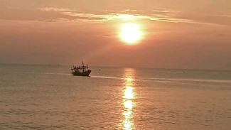 Photo Mini 2