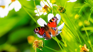 7 Rekomendasi Tempat Wisata Kekinian di Cimahi, Cocok untuk Liburan Akhir Pekan