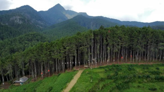 6 Rekomendasi Wisata Alam di Garut, Dijamin Tak Mengecewakan untuk Liburan