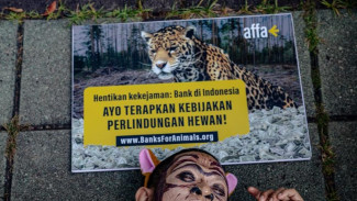 Perbankan Enggan Danai Program Perlindungan Hewan, Bank di Indonesia Peringkat Berapa?