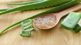 Manfaat Daun Lidah Buaya untuk Kesehatan Rambut, Basmi Ketombe Sampai Kulit Kepala Gatal