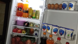 Cara Hilangkan Bau Tak Sedap Lemari Es dengan Bahan Alami dan Efektif