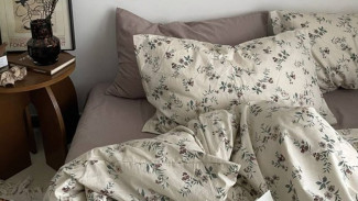 Jarang Ganti Bed Cover? Siap - Siap Tidur Bareng Kuman dan Tungau