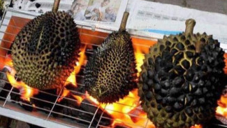 Bau Hilang, Rasa Melejit! Ini Sensasi Aneh Makan Durian Panggang!