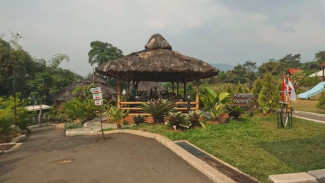 Photo Mini 3