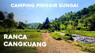 Camping Ground di Ciwidey Ini Punya Sungai Jernih dan Kebun Teh, Cuma 1,5 Jam dari Bandung!