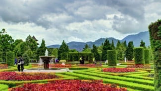 Taman Bunga Terindah di Jawa Barat yang Wajib Anda Kunjungi Bareng Keluarga