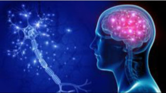 Tips Melatih Otak agar Tetap Tajam, Lakukan 7 Kebiasaan Ini