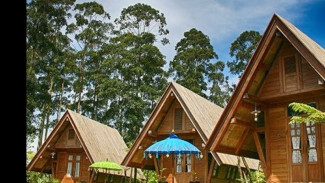 Wisata Alam Bandung Paling Menakjubkan: Desa Bambu Pilihan Tepat Liburan