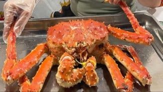 Kepiting Bagan Situngkuraja,  Tempat Kuliner Seafood Wajib Coba di Bandung