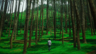 Liburan Sejuk di Bandung Timur, Dua Wisata Ini Cocok Bareng Keluarga
